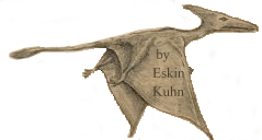 Sketch of pterosaur seen and drawn by Eskin Kuhn