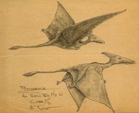 Pterosaurs seen by Eskin Kuhn