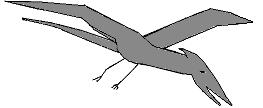 sketch of pterosaur seen in South Carolina