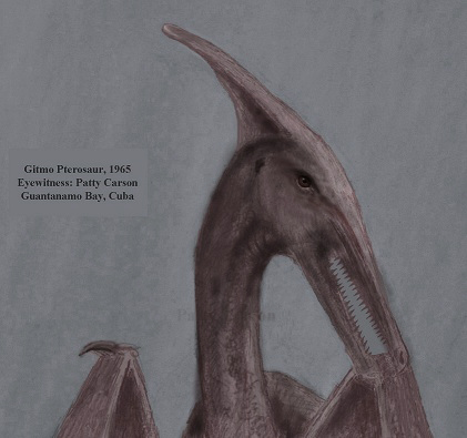 Gitmo Pterosaur of Cuba - eyewitness and artist Patty Carson